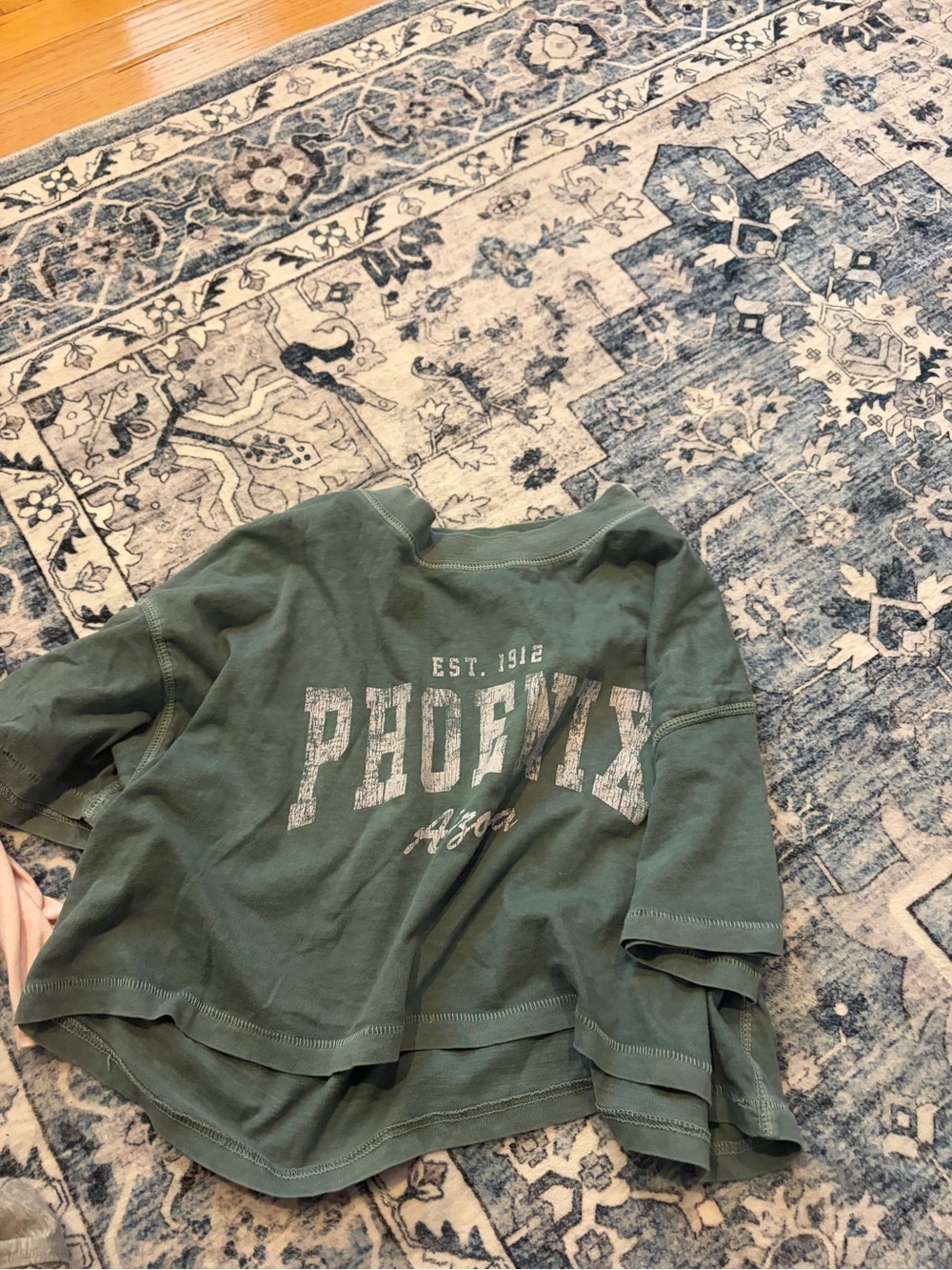 Aeropostale Olive Green Phoenix Graphic Sweatshirt